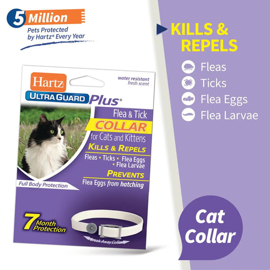 Hartz UltraGuard Plus Flea &amp; Tick Collar for Cats and Kittens, 7 months Protection